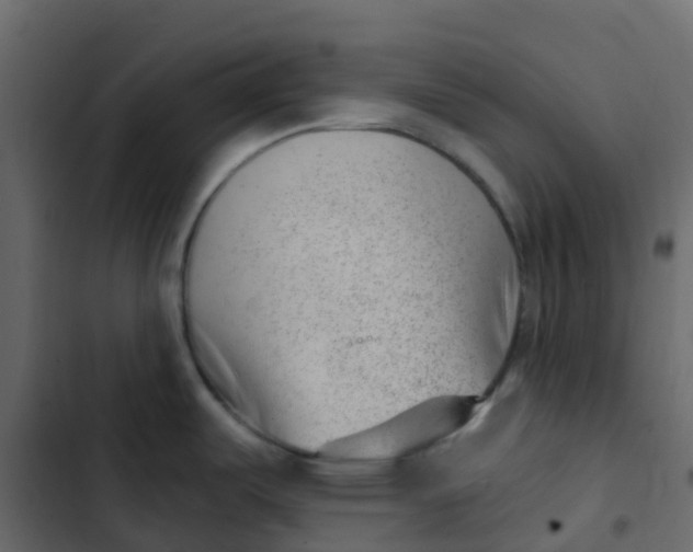 X0000102871487200809021436