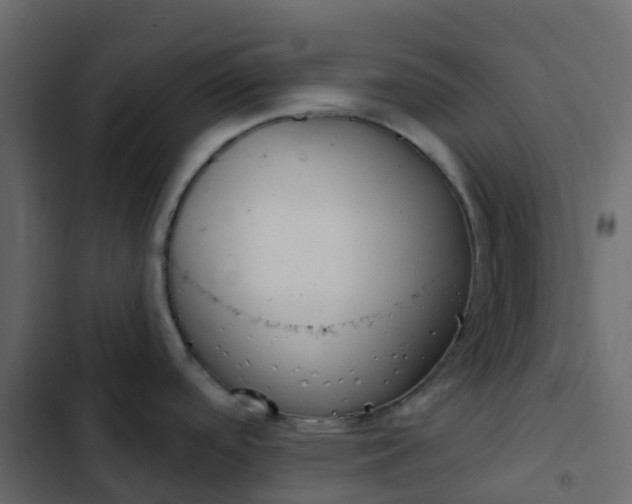 X0000102871488200809021436