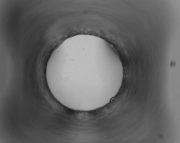 X0000102871489200809021435