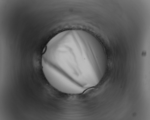 X0000102871490200809021435