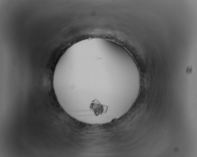 X0000102871493200809021435