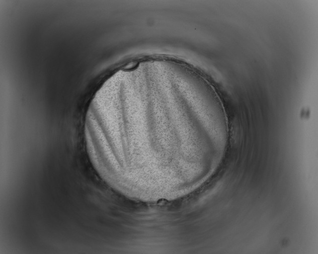 X0000102871494200809021435