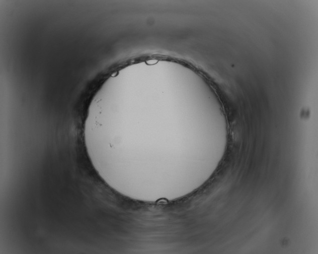 X0000102871495200809021435