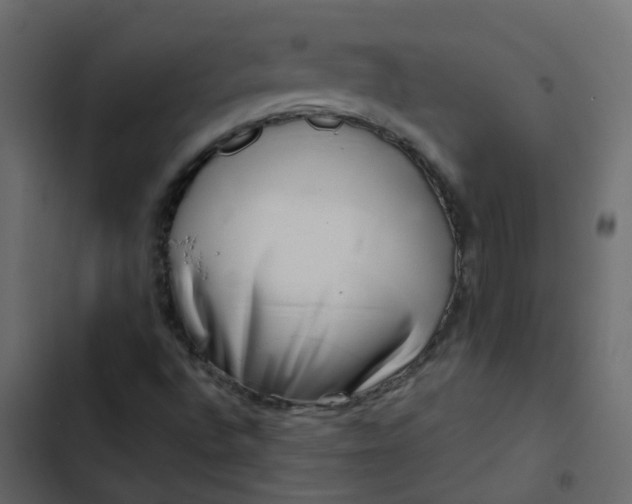 X0000102871496200809021435