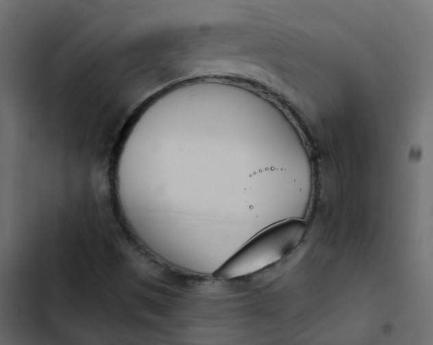 X0000102871497200809021435