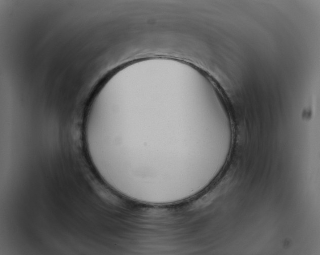 X0000102871499200809021435