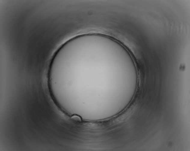 X0000102871500200809021435