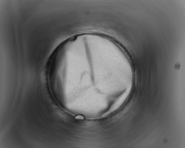 X0000102871501200809021435