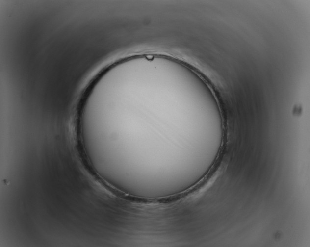 X0000102871502200809021435