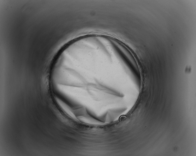 X0000102871503200809021435