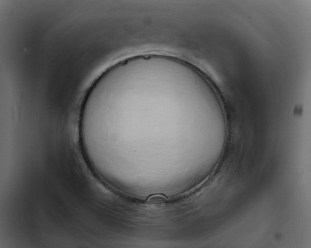 X0000102871504200809021435