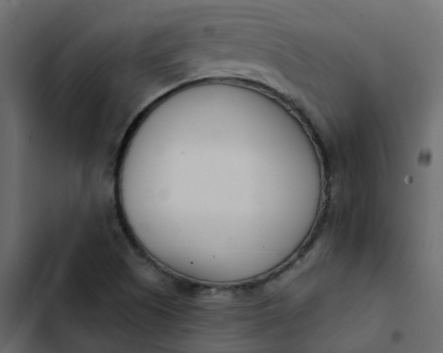 X0000102871505200809021435