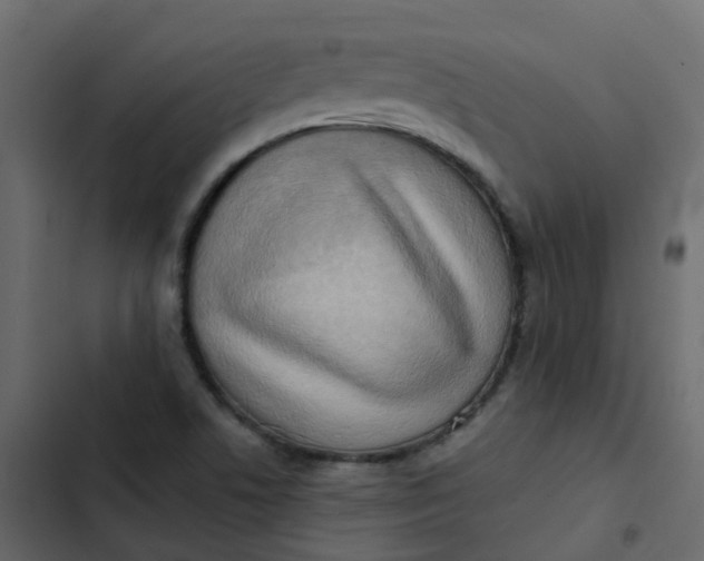 X0000102871506200809021435