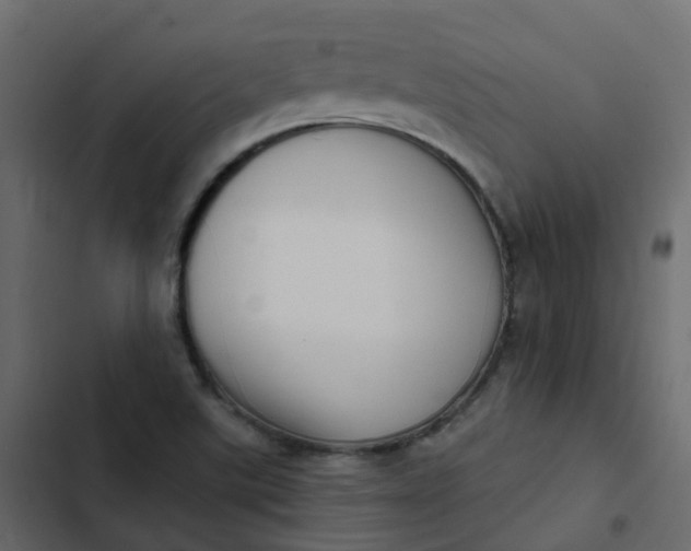 X0000102871507200809021435