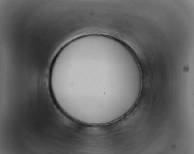 X0000102871508200809021435