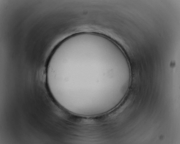 X0000102871509200809021435