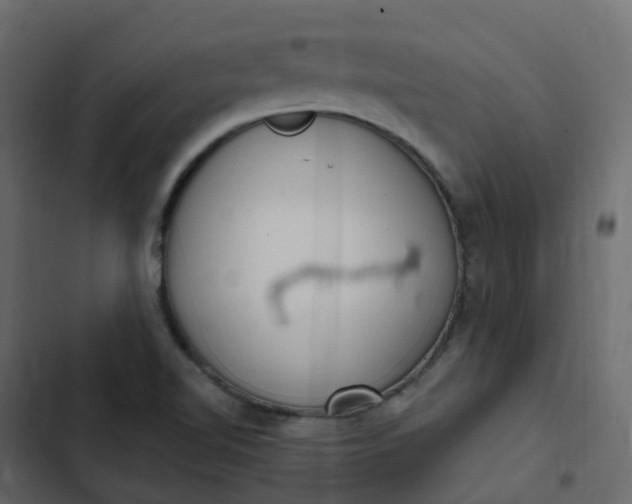 X0000102871510200809021435