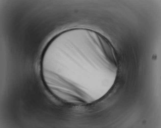 X0000102871511200809021435