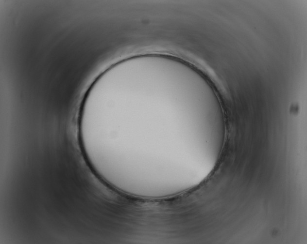 X0000102871512200809021435