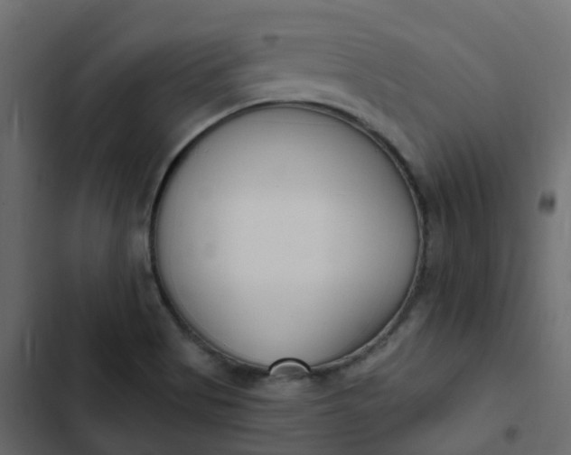 X0000102871513200809021435