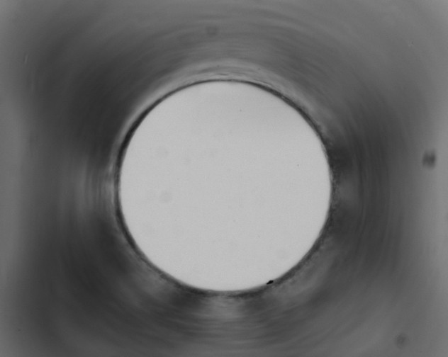 X0000102871514200809021435