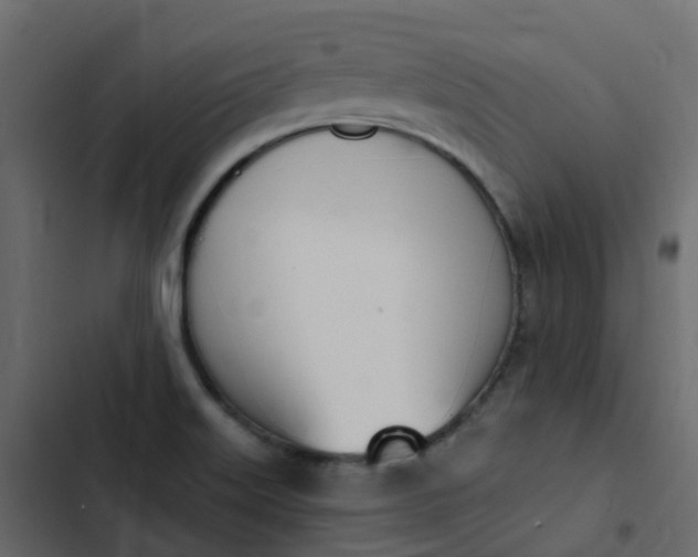 X0000102871515200809021435