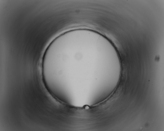 X0000102871516200809021435