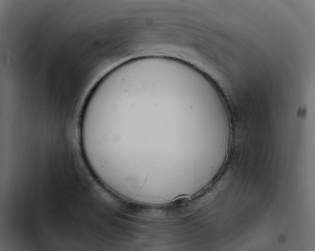 X0000102871517200809021435