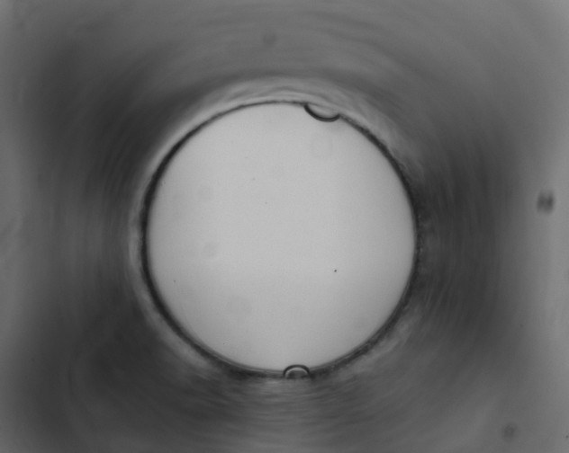 X0000102871518200809021435