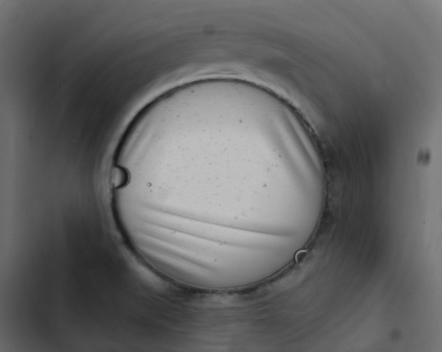 X0000102871519200809021435