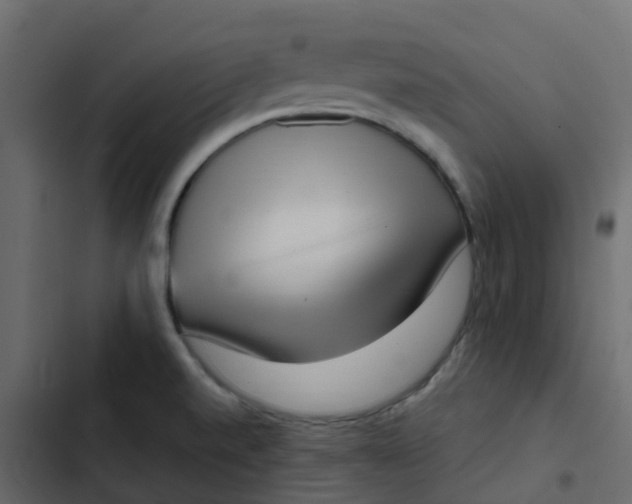 X0000102871520200809021435