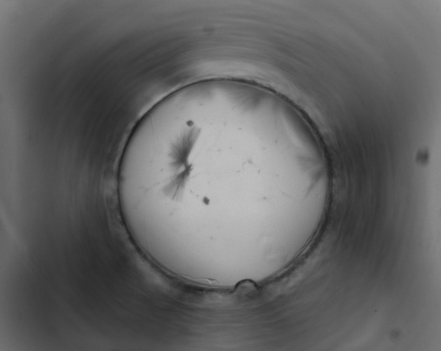 X0000102871521200809021435