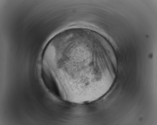 X0000102871522200809021435