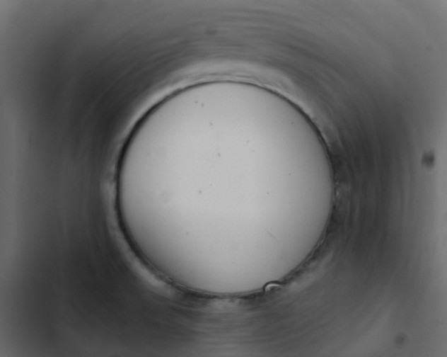 X0000102871523200809021435