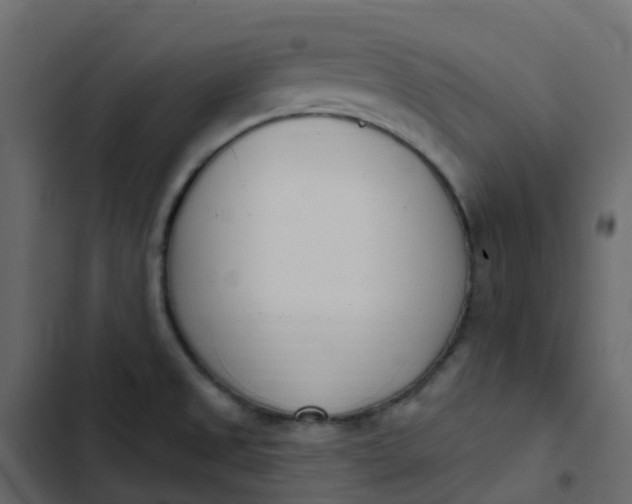 X0000102871525200809021435