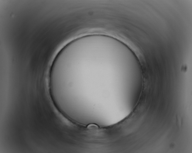 X0000102871527200809021435