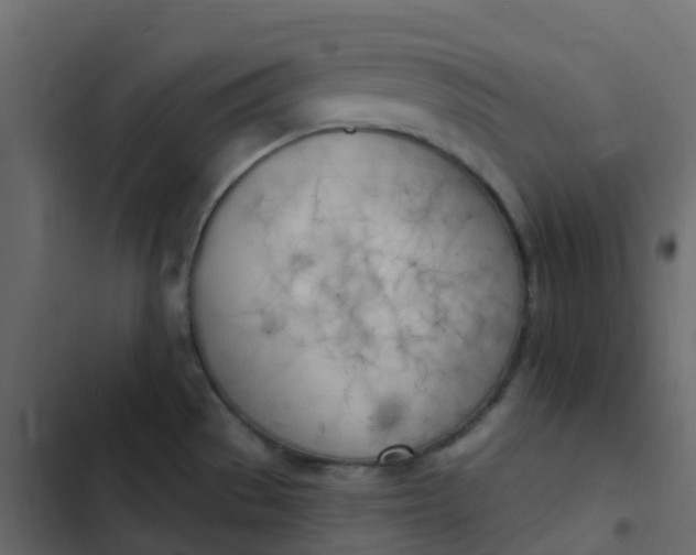 X0000102871529200809021435