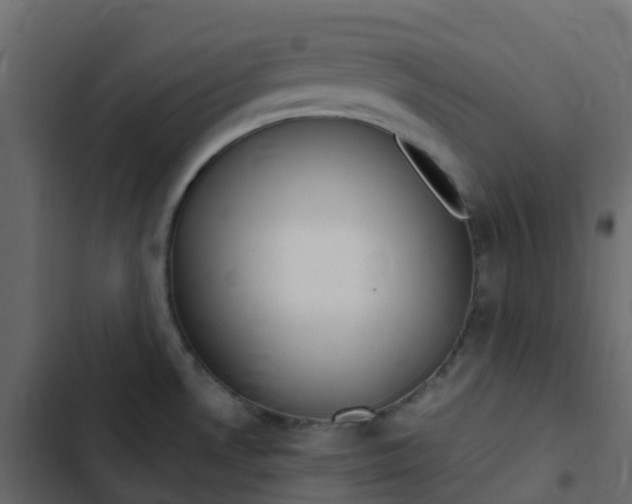 X0000102871530200809021435