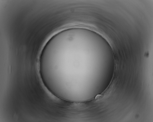 X0000102871531200809021435