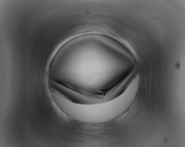 X0000102871532200809021435