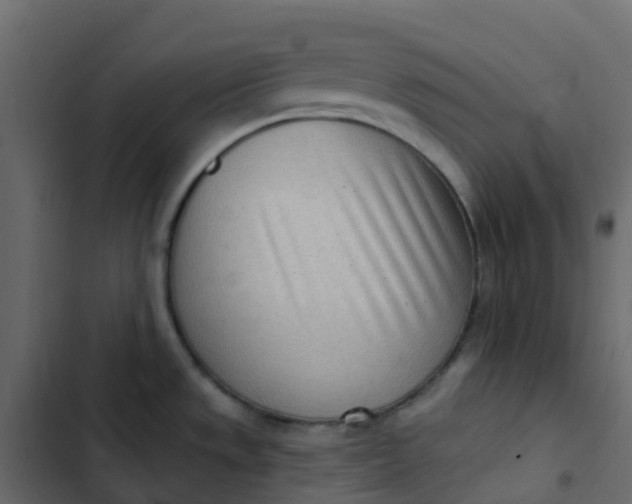 X0000102871533200809021435