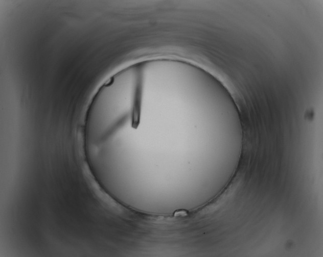 X0000102871534200809021435