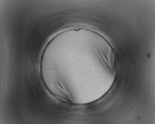 X0000102871535200809021435