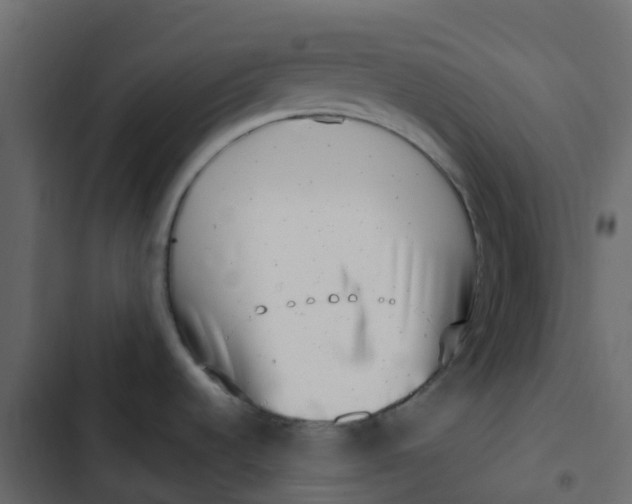 X0000102871536200809021435