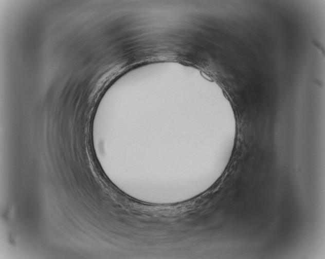 X0000102870001200809081216