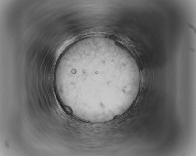 X0000102870003200809081216