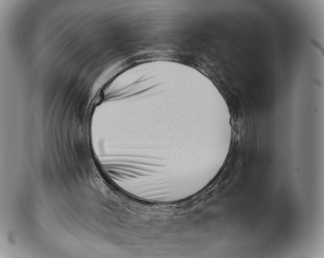 X0000102870004200809081216