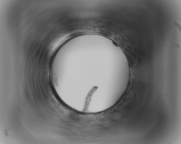 X0000102870005200809081216