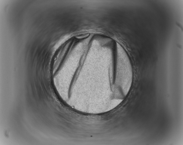 X0000102870008200809081216