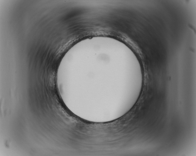 X0000102870009200809081216